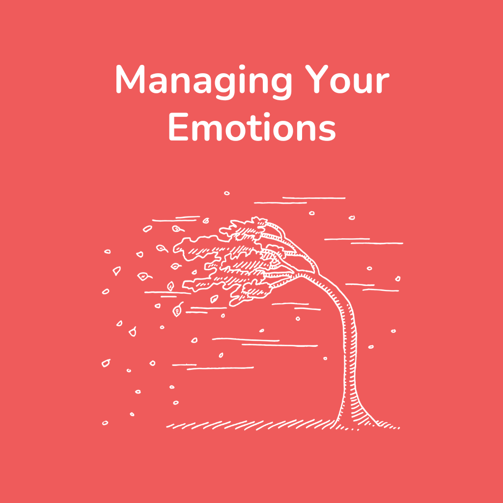 Parenting Survival Guide – Part 2: Managing Your Emotions