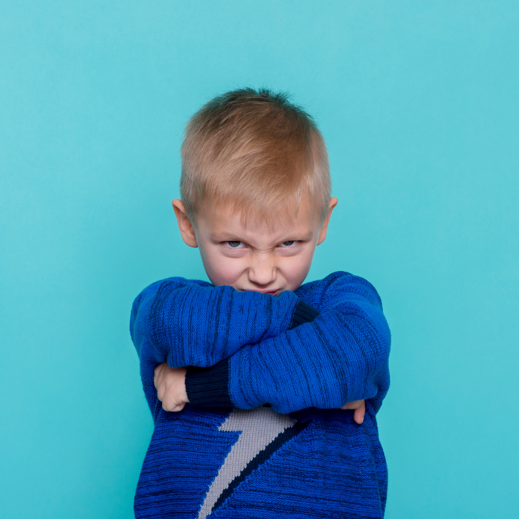 Webinar: Understanding Aggression Toward Family and Caregivers in Childhood and Adolescence (AFCCA)