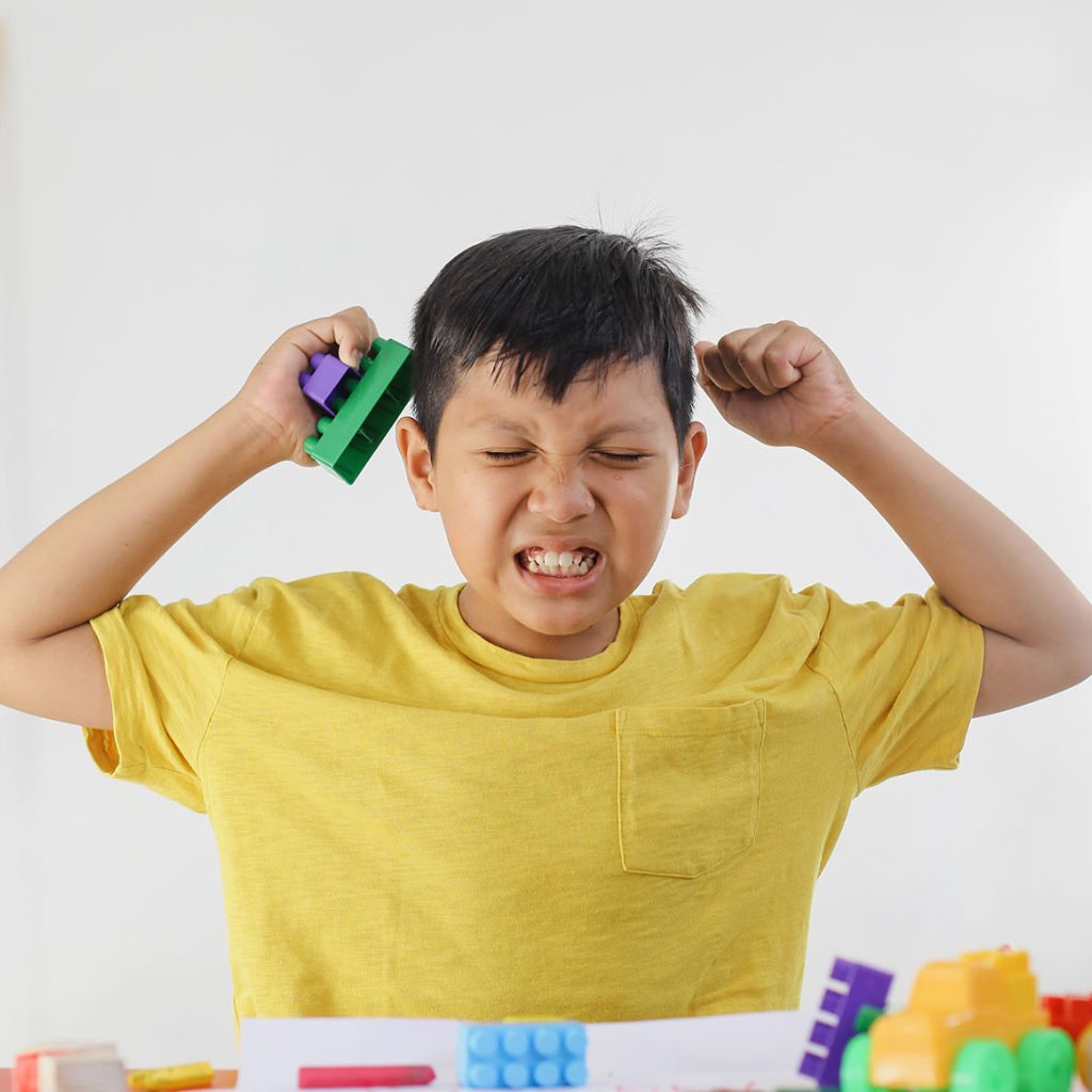 Aggression Towards Family and Caregivers in Childhood and Adolescence (AFCCA): Managing Aggression at Home