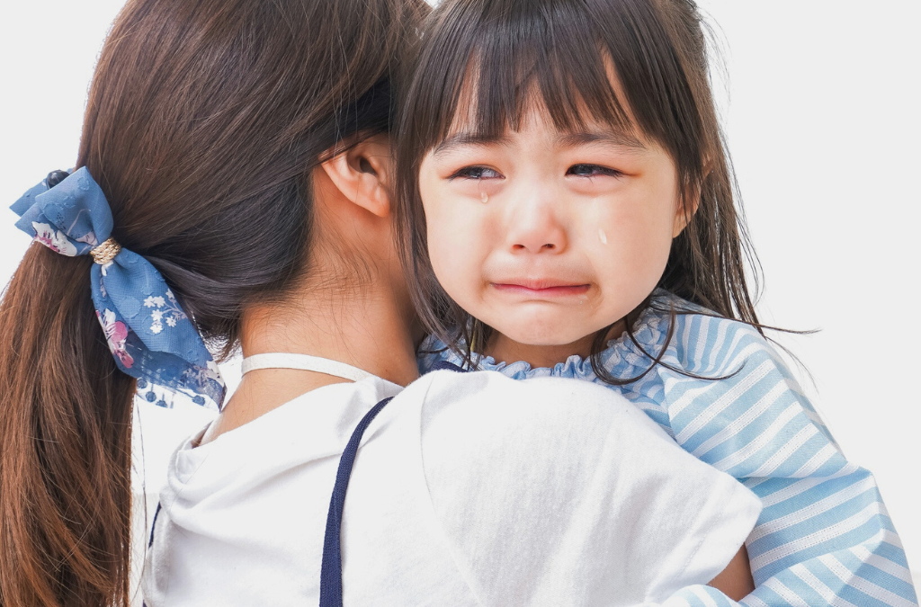 Webinar: Soothing the Storm – Co-Regulation Tools for Caregivers