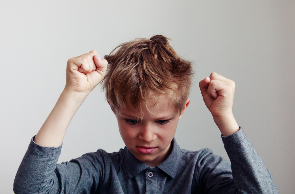 Webinar: Managing Aggression at Home