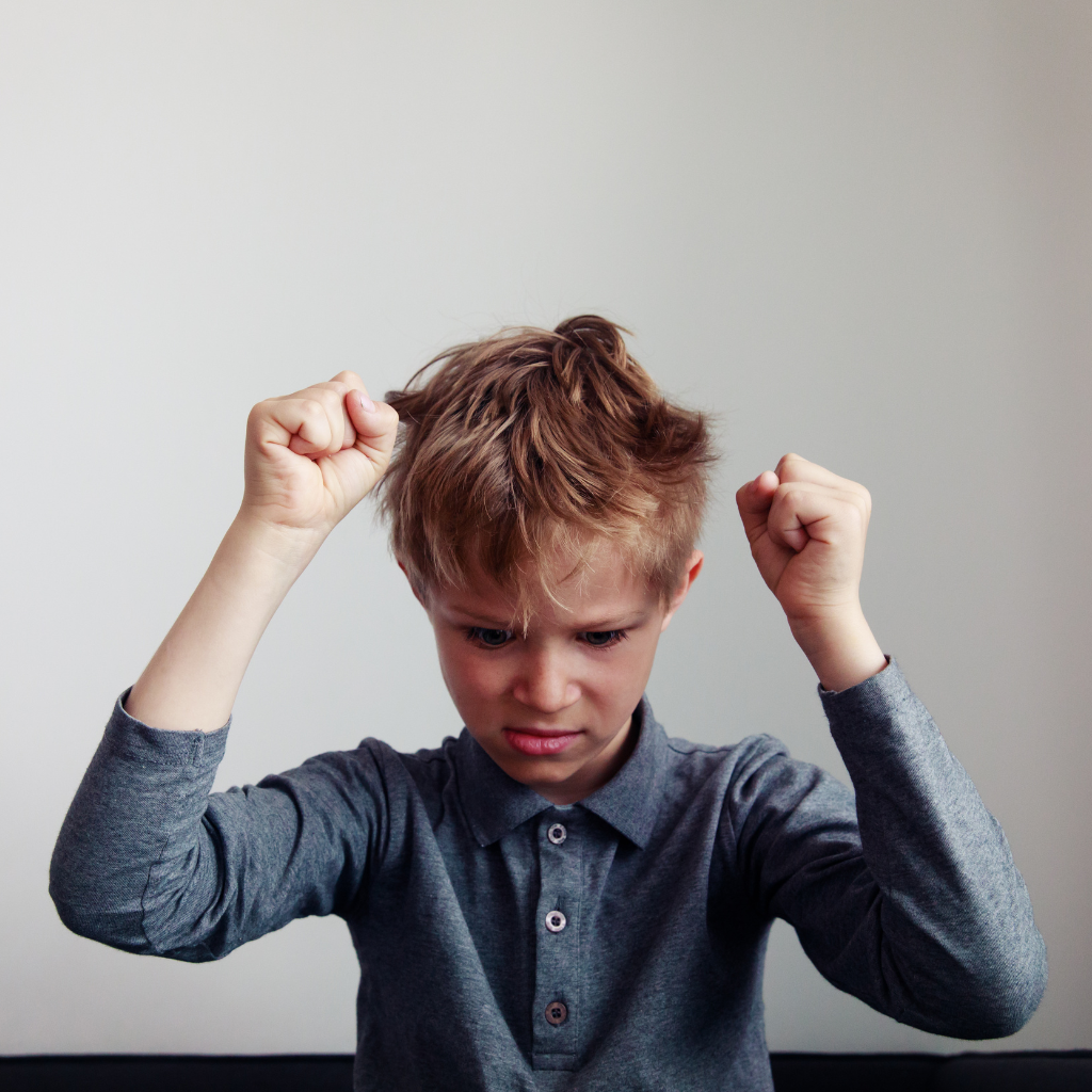 Webinar: Aggression Toward Family and Caregivers in Childhood and Adolescence – Practical Strategies
