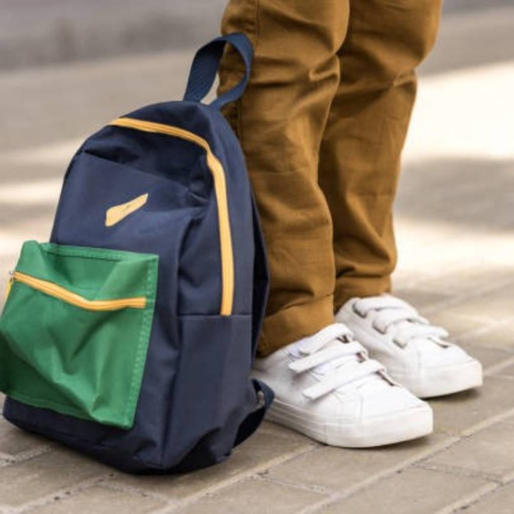 Child and Youth Mental Health Support