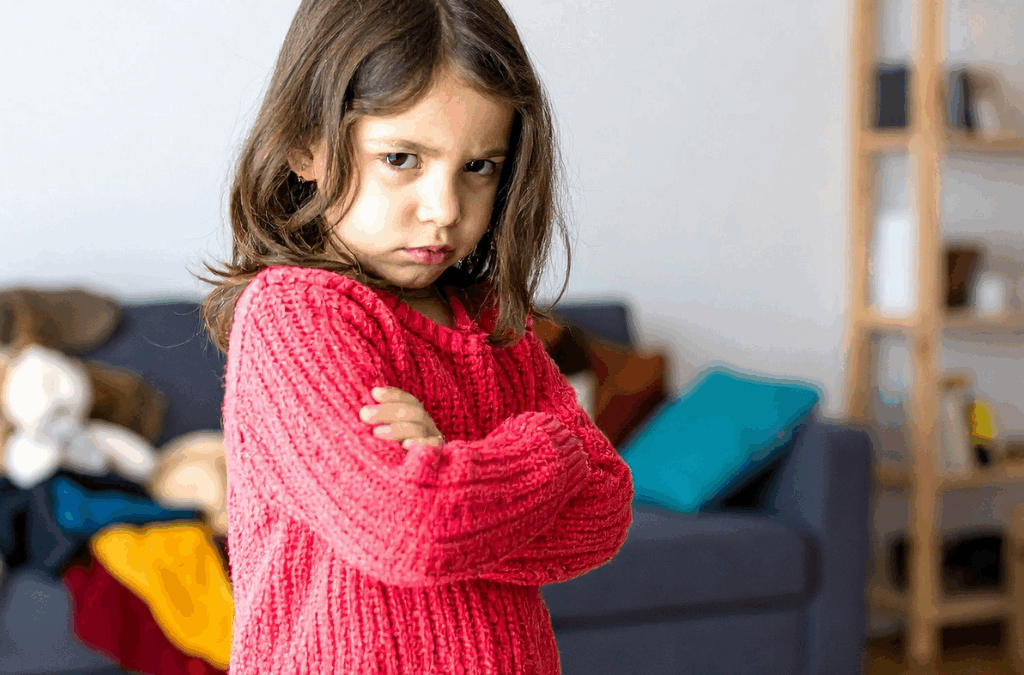 Webinar: Understanding Aggression at Home